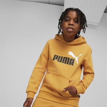 PUMA Sweatshirt i orange