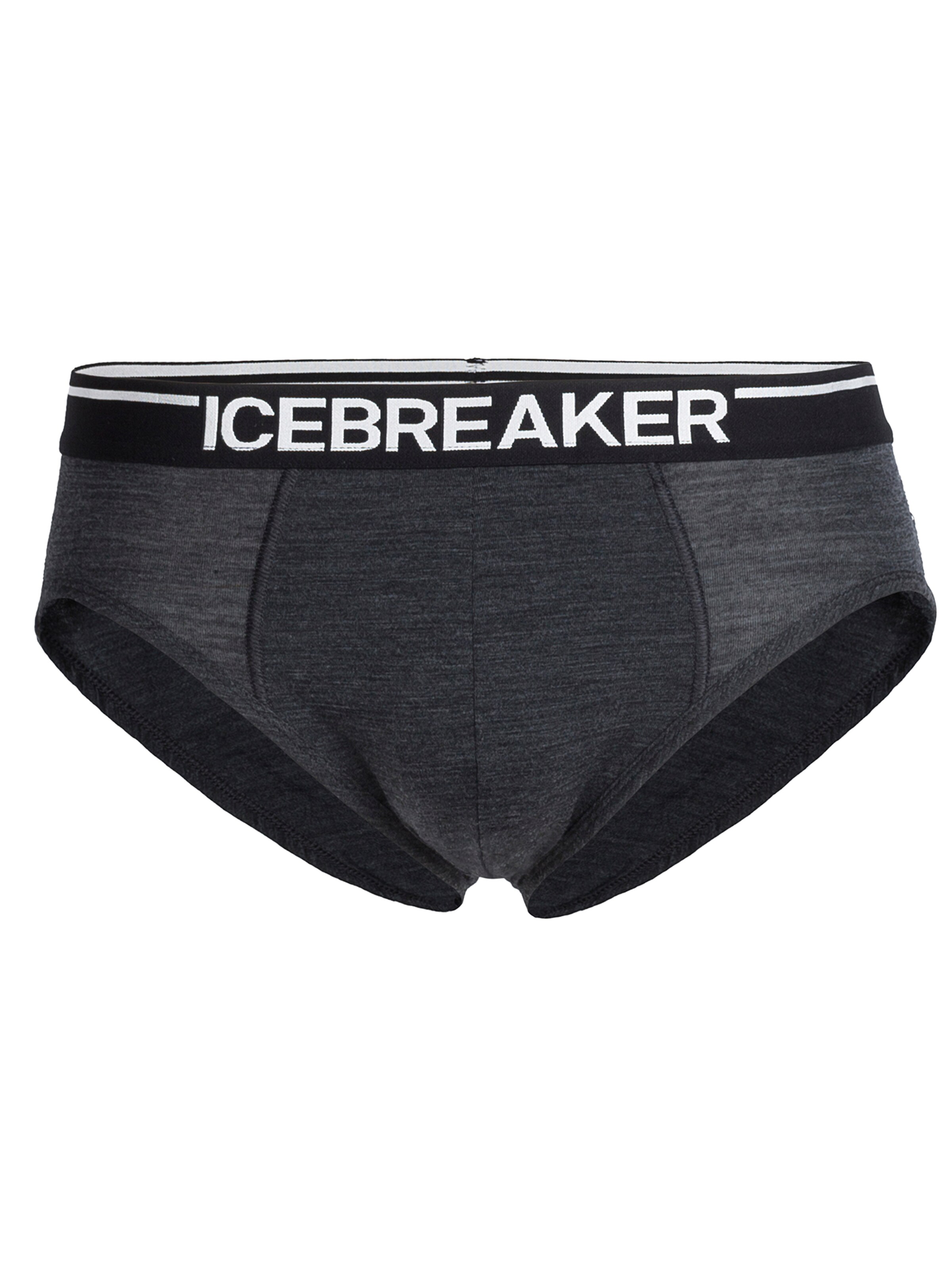 ICEBREAKERSportske gaće 'Anatomica' - siva boja: prednji dio