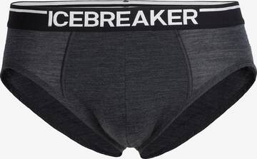ICEBREAKERSportske gaće 'Anatomica' - siva boja: prednji dio