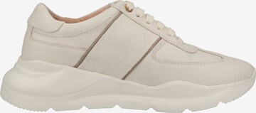 JOOP! Sneakers in White