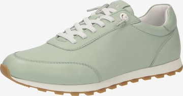 Baskets basses ' Snejana-700 ' SIOUX en vert : devant