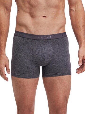 FALKE Boxer shorts '3-Pack' in Grey