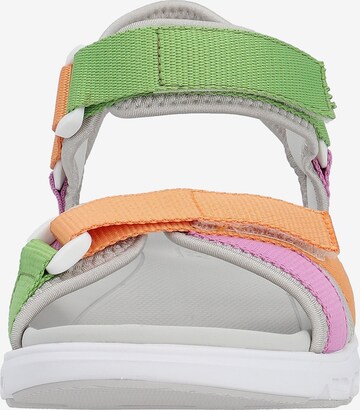 Rieker EVOLUTION Sandals in Mixed colors