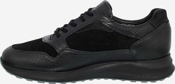 MEPHISTO Sneakers in Black