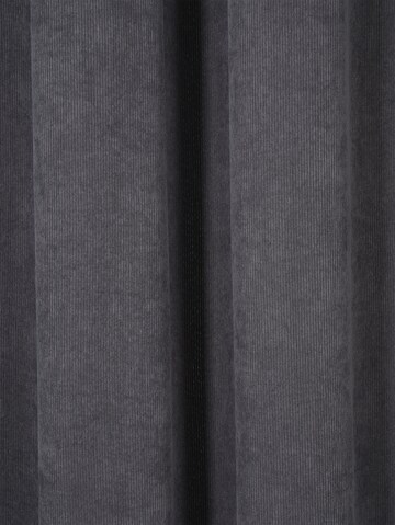 TOM TAILOR Curtains & Drapes in Grey