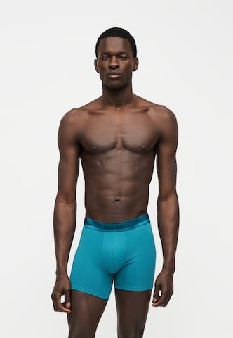 Calvin Klein Underwear - Calzoncillo boxer en azul: frente