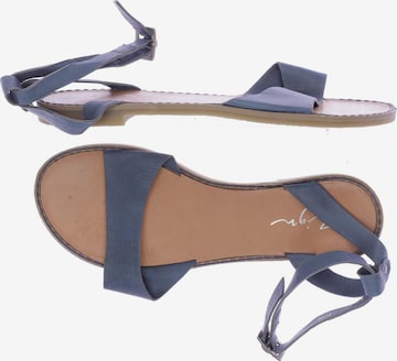 Zign Sandalen 37 in Blau: predná strana