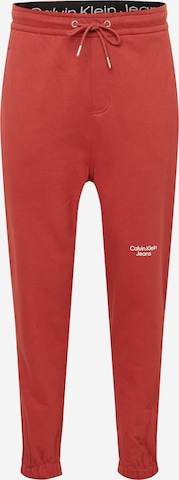 Pantalon Calvin Klein Jeans en marron : devant