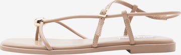 STEVE MADDEN Tådelare 'Tiki' i beige: framsida