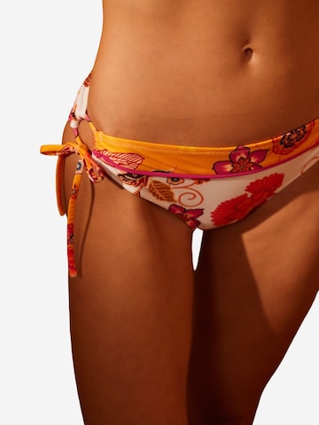 Penti Bikini hlačke | mešane barve barva