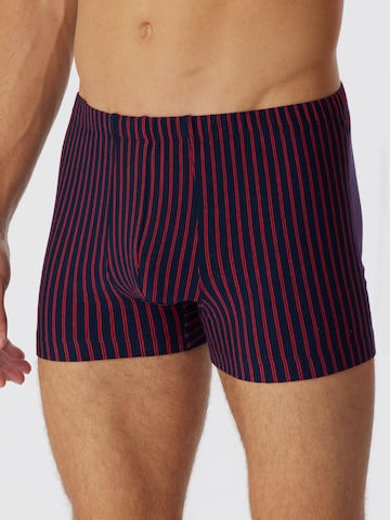 Boxers ' 95/5 Essentials ' SCHIESSER en bleu : devant