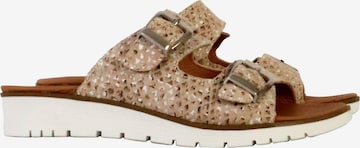 The Divine Factory Pantolette in Grau: Vorderseite