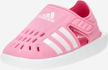 Claquettes / Tongs ADIDAS SPORTSWEAR en rose : devant