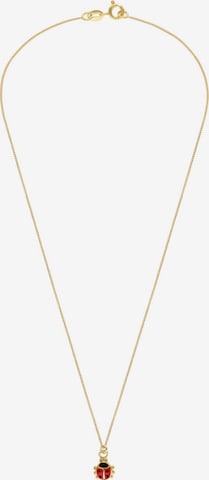 Lucardi Kette in Gold: Vorderseite