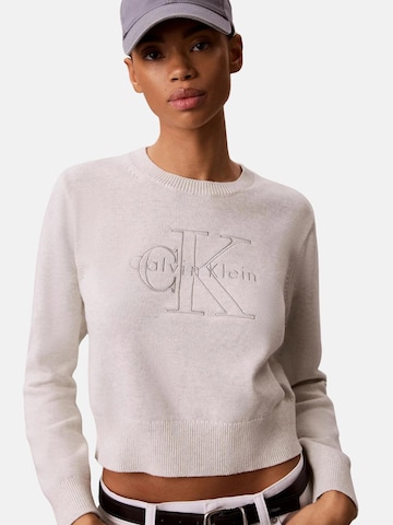 Calvin Klein Trui in Grijs