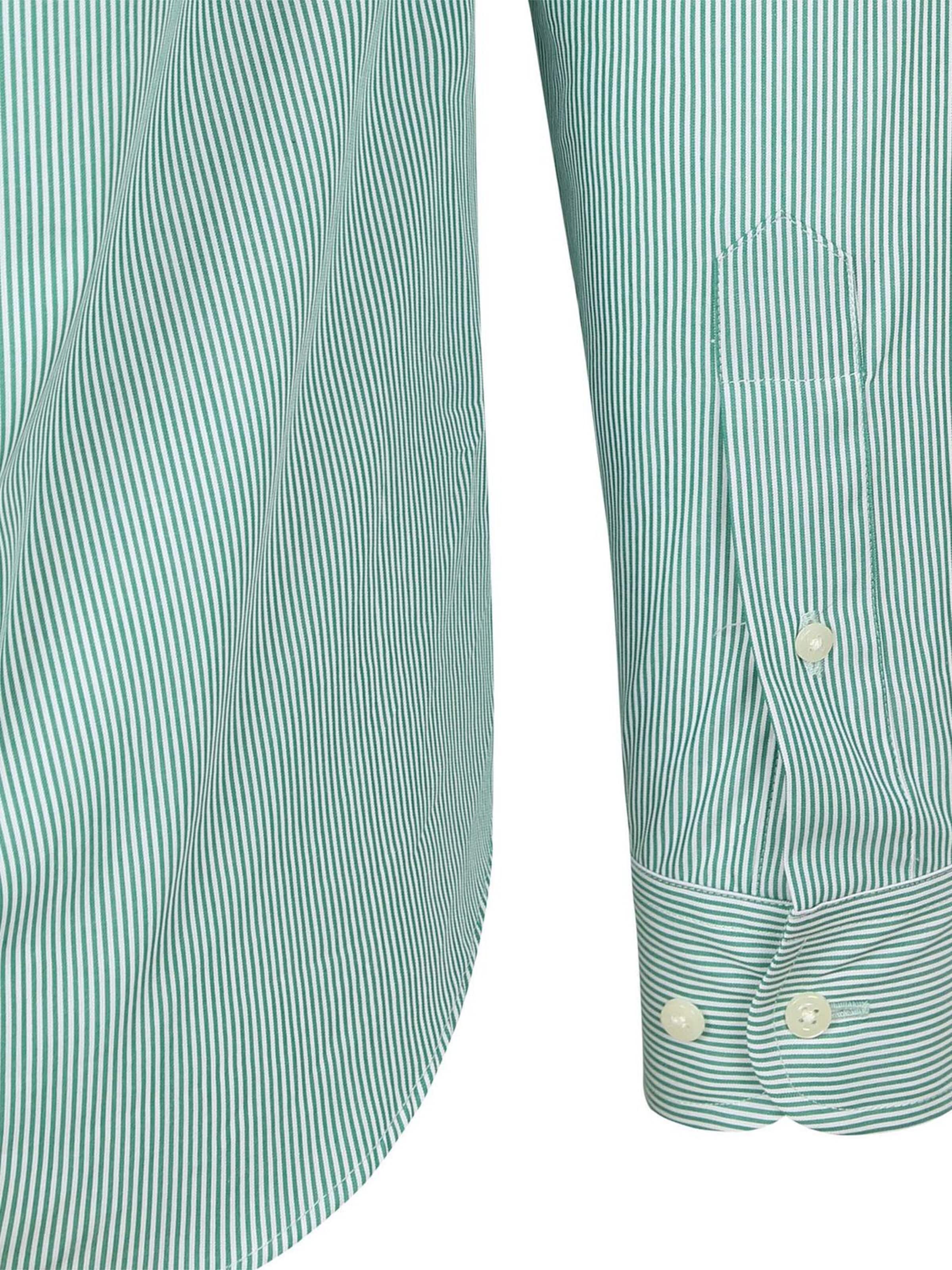 Steppin' out Regular fit Button Up Shirt in Green