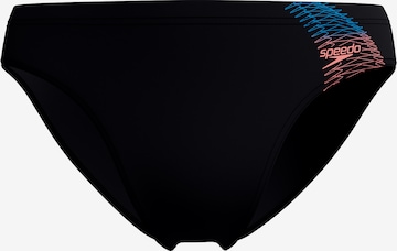 SPEEDO Board Shorts in Black: front