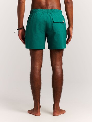 PROTEST Board Shorts 'PRTAgden' in Green