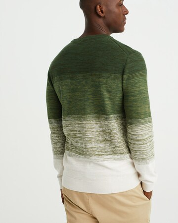 WE Fashion Sweater in Green