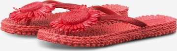 ILSE JACOBSEN Sandals 'CHEERFUL16F' in Red: front