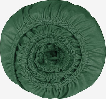 SCHIESSER Bed Sheet 'Flexi' in Green: front