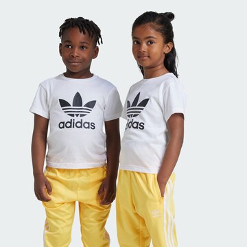 ADIDAS ORIGINALS Shirt 'Trefoil' in White: front