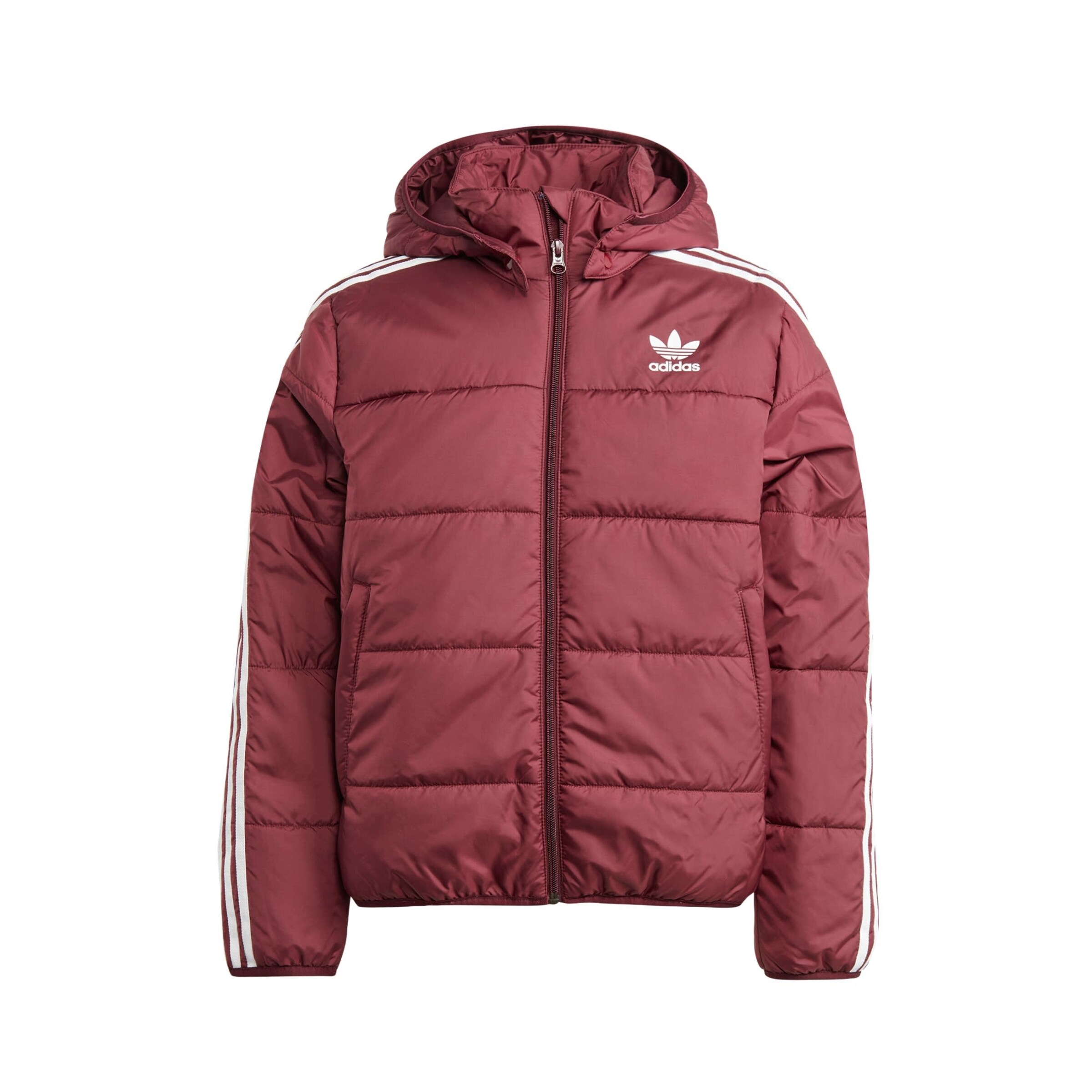 ADIDAS ORIGINALS Winter Jacket Adicolor in Carmine Red ABOUT YOU