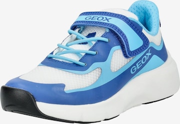 GEOXTenisice 'Pro-Ran' - bijela boja: prednji dio