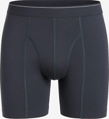Blackspade Boxershorts in Grau: Vorderseite