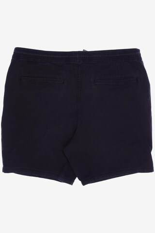 HOLLISTER Shorts in 35-36 in Grey