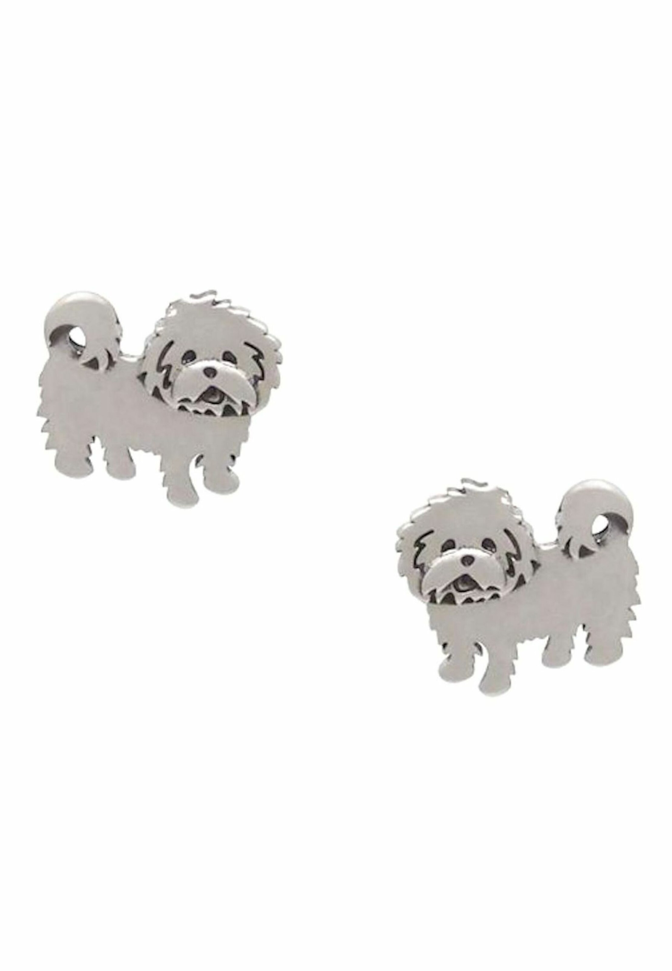 Gemshine Earrings in Silver