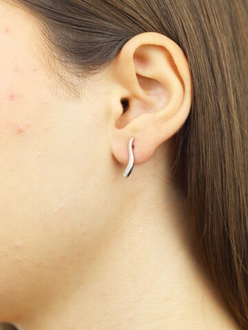DIAMANT LETERNEL Earrings in Silver