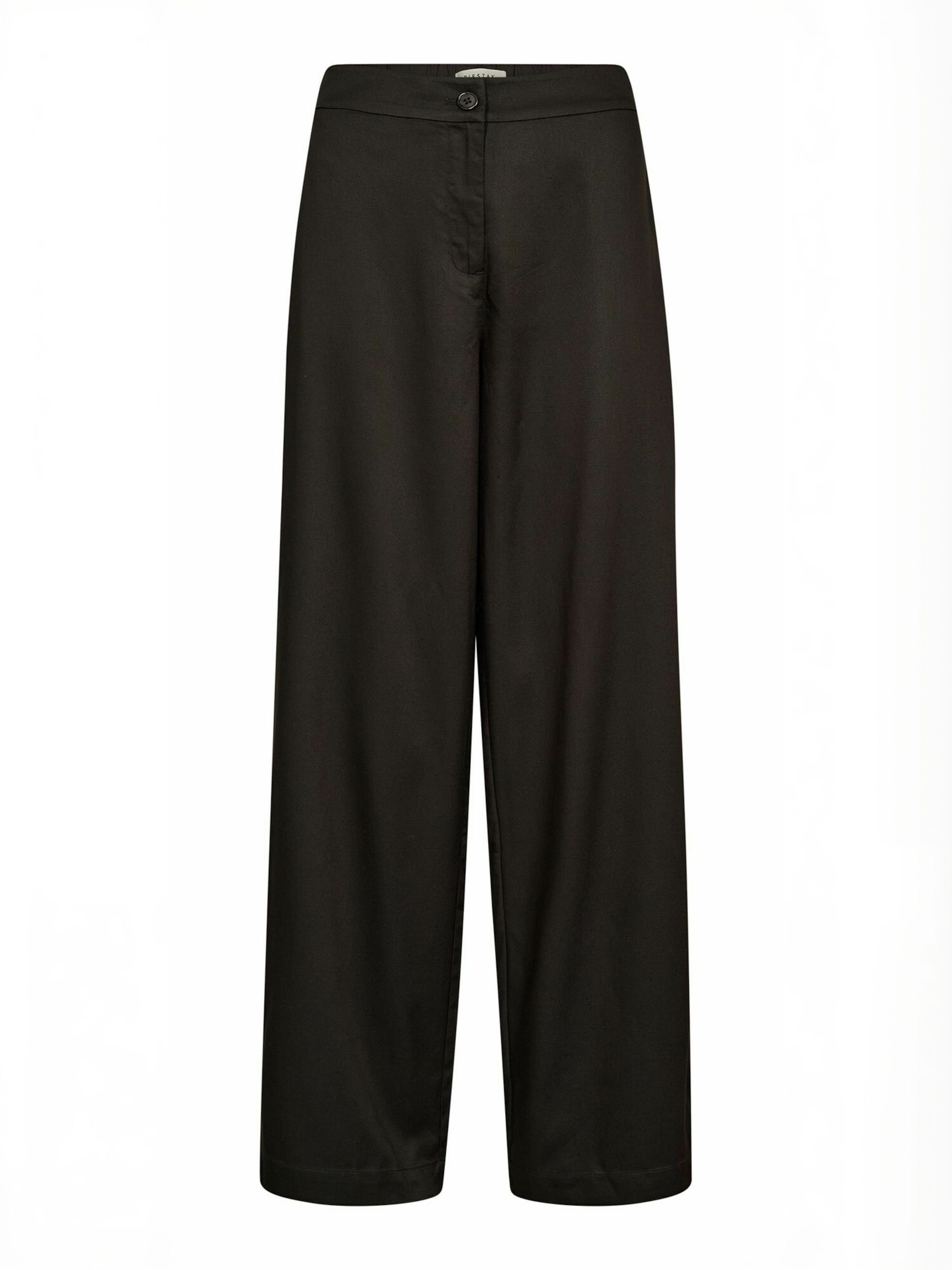 Pieszak Regular Trousers ' PD-Kinsella ' in Brown: front