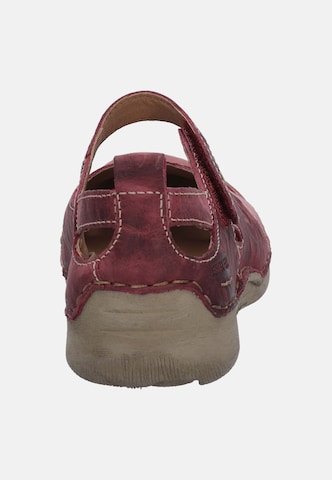 JOSEF SEIBEL Sandal 'Fergey 51' in Red