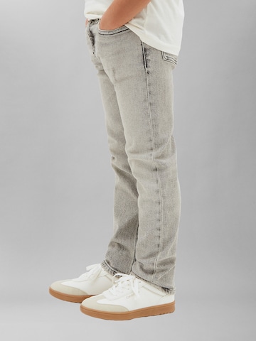 Calvin Klein Jeans Regular Jeans in Grijs