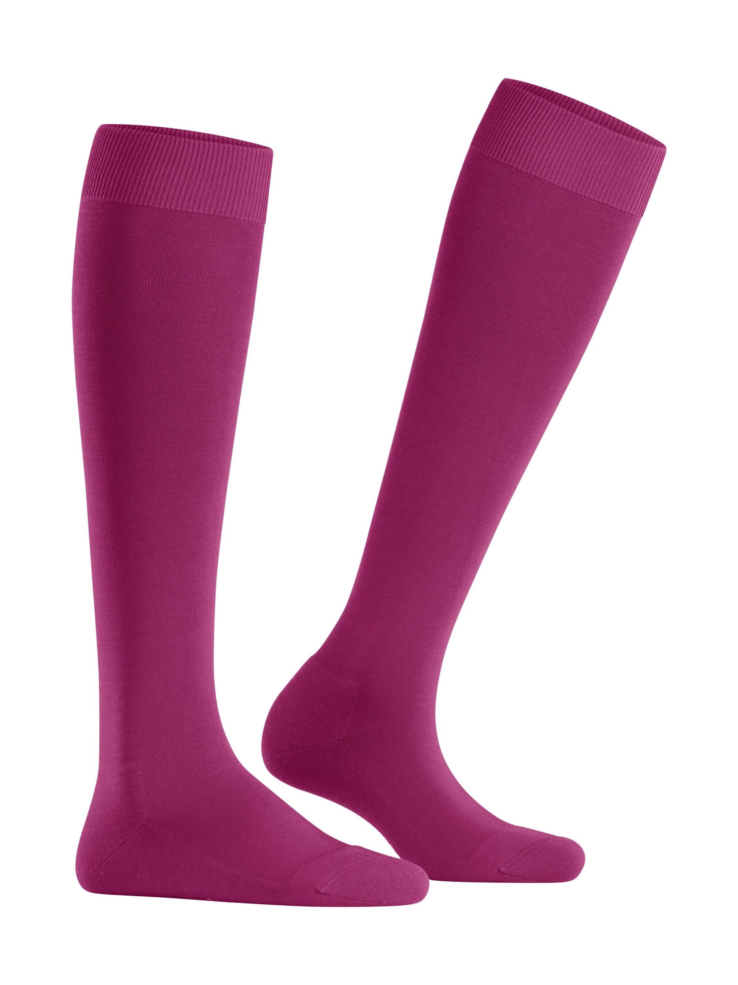 FALKE Kniestrümpfe 'ClimaWool'‌ in Lila