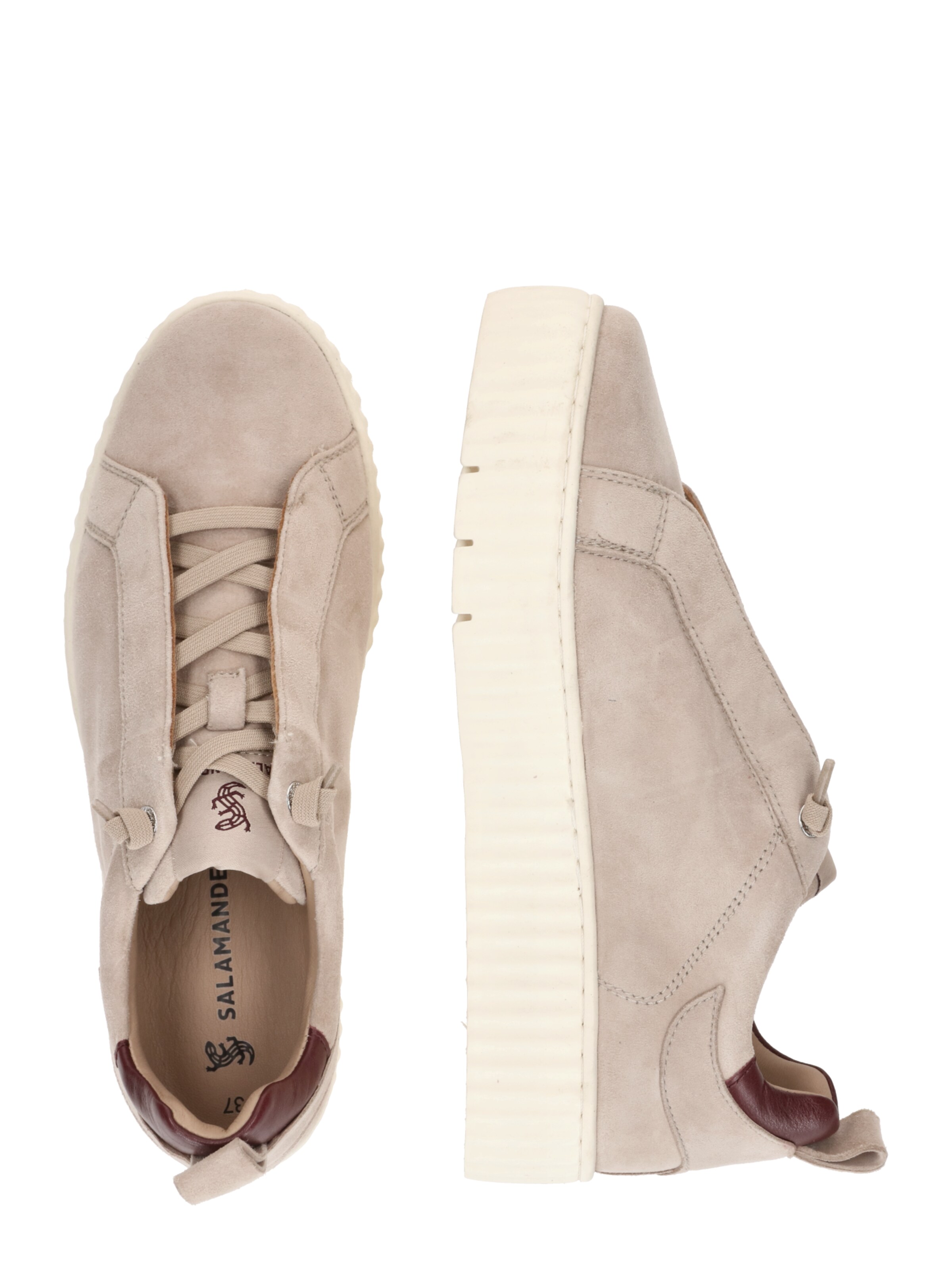 SALAMANDER Trainers in Beige