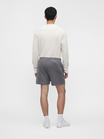 Loosefit Pantaloni di HOLLISTER in grigio