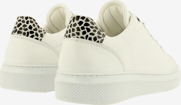 Baskets basses BULLBOXER en blanc