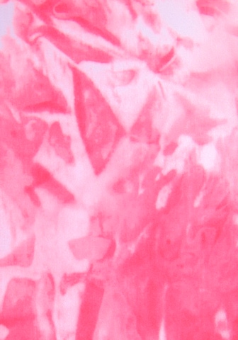 VENICE BEACH Badeanzug in Pink