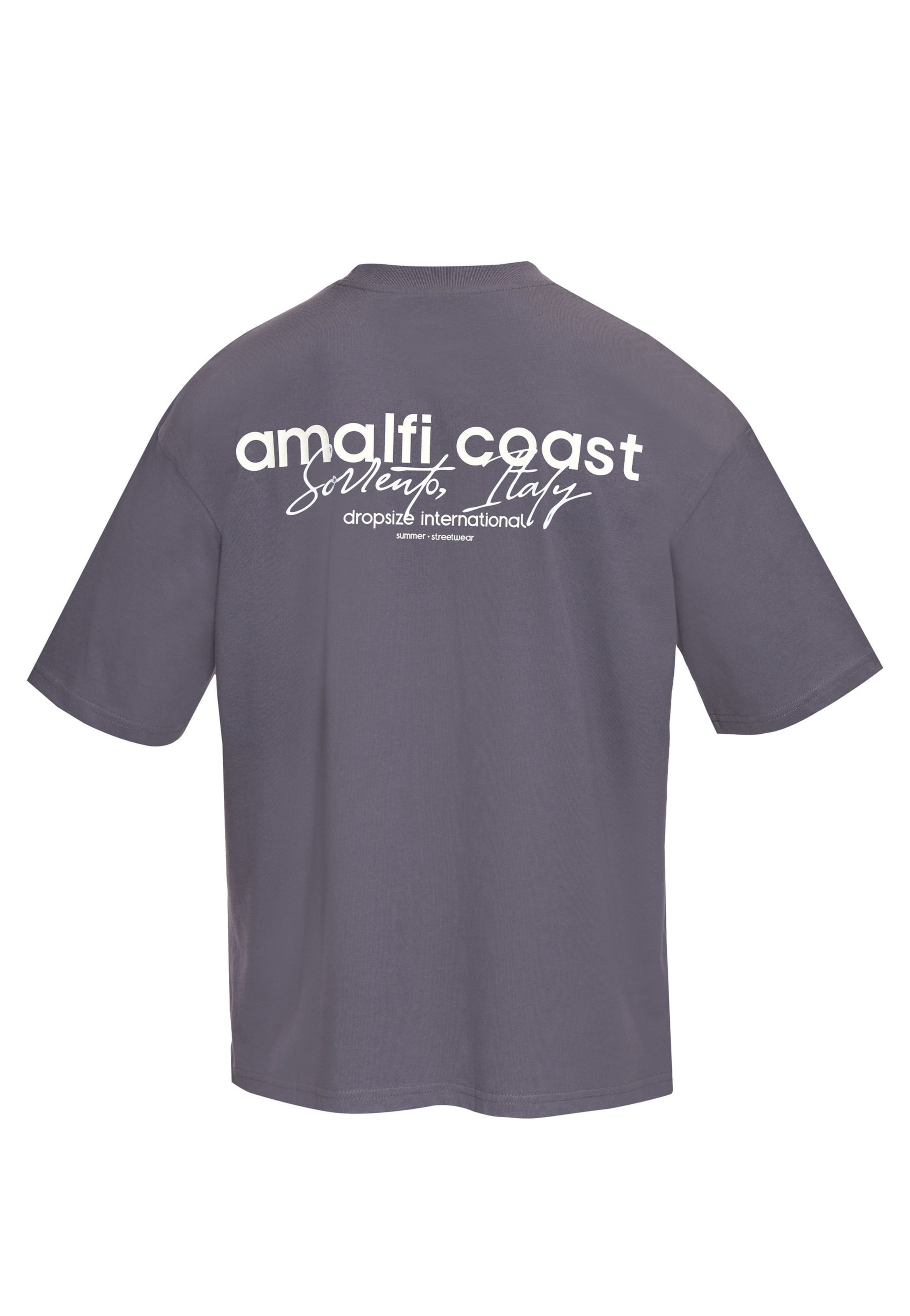 Dropsize Shirt in Grey