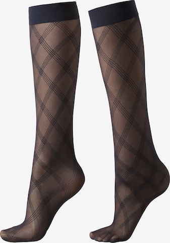 CALZEDONIA Kniestrümpfe in Blau: Vorderseite