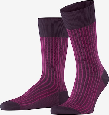 Chaussettes FALKE en violet : devant