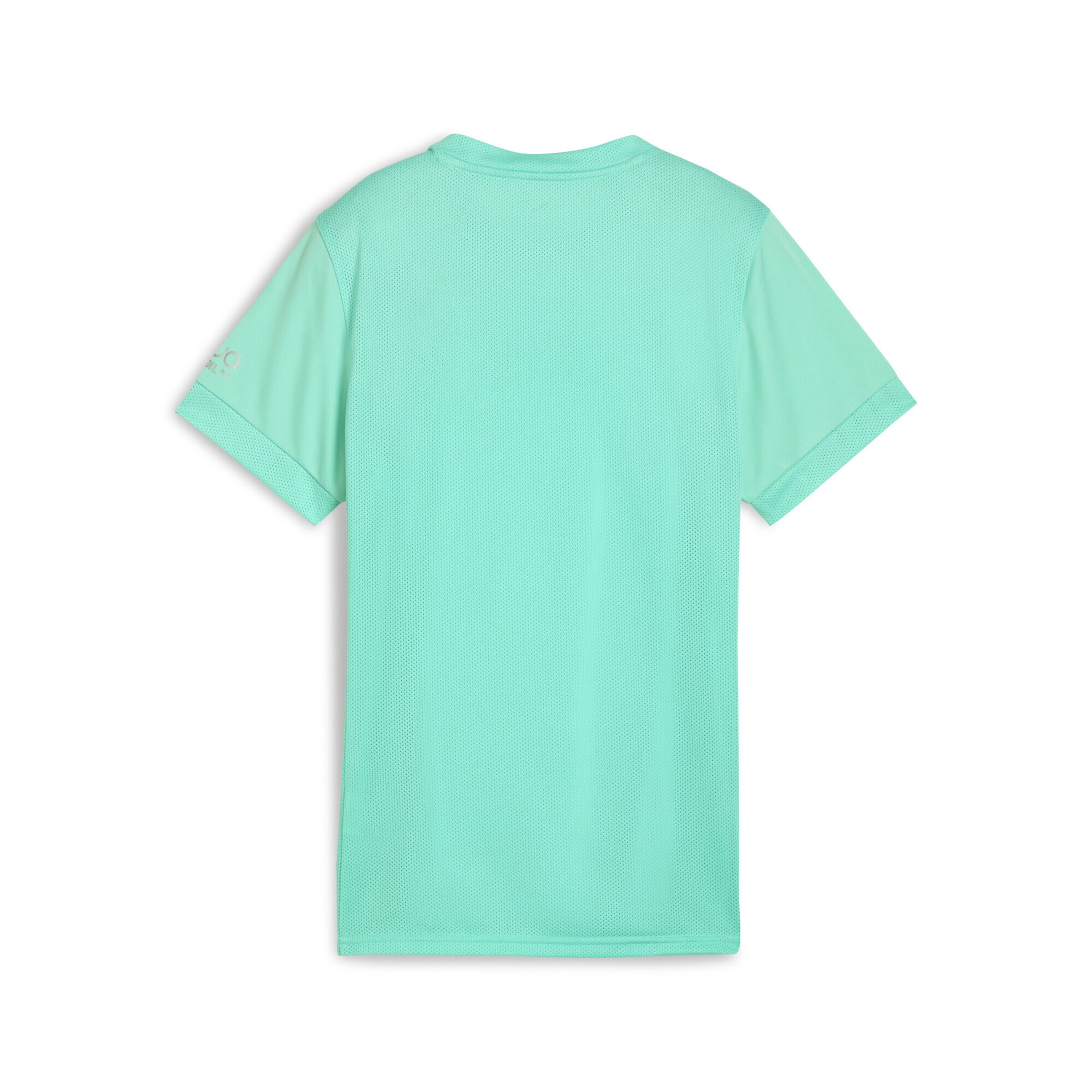 PUMA Jersey 'Individual' in Green