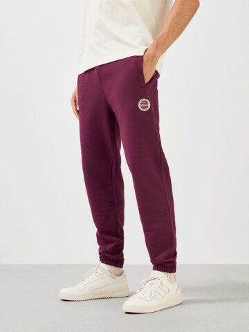 FC BAYERN MÜNCHEN Regular Pants in Red: front
