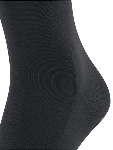 FALKE Socks 'ClimaWool' in Black