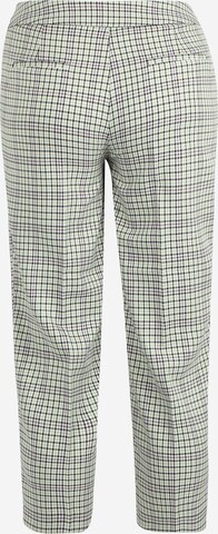 Dorothy Perkins Petite Regular Hose in Grün