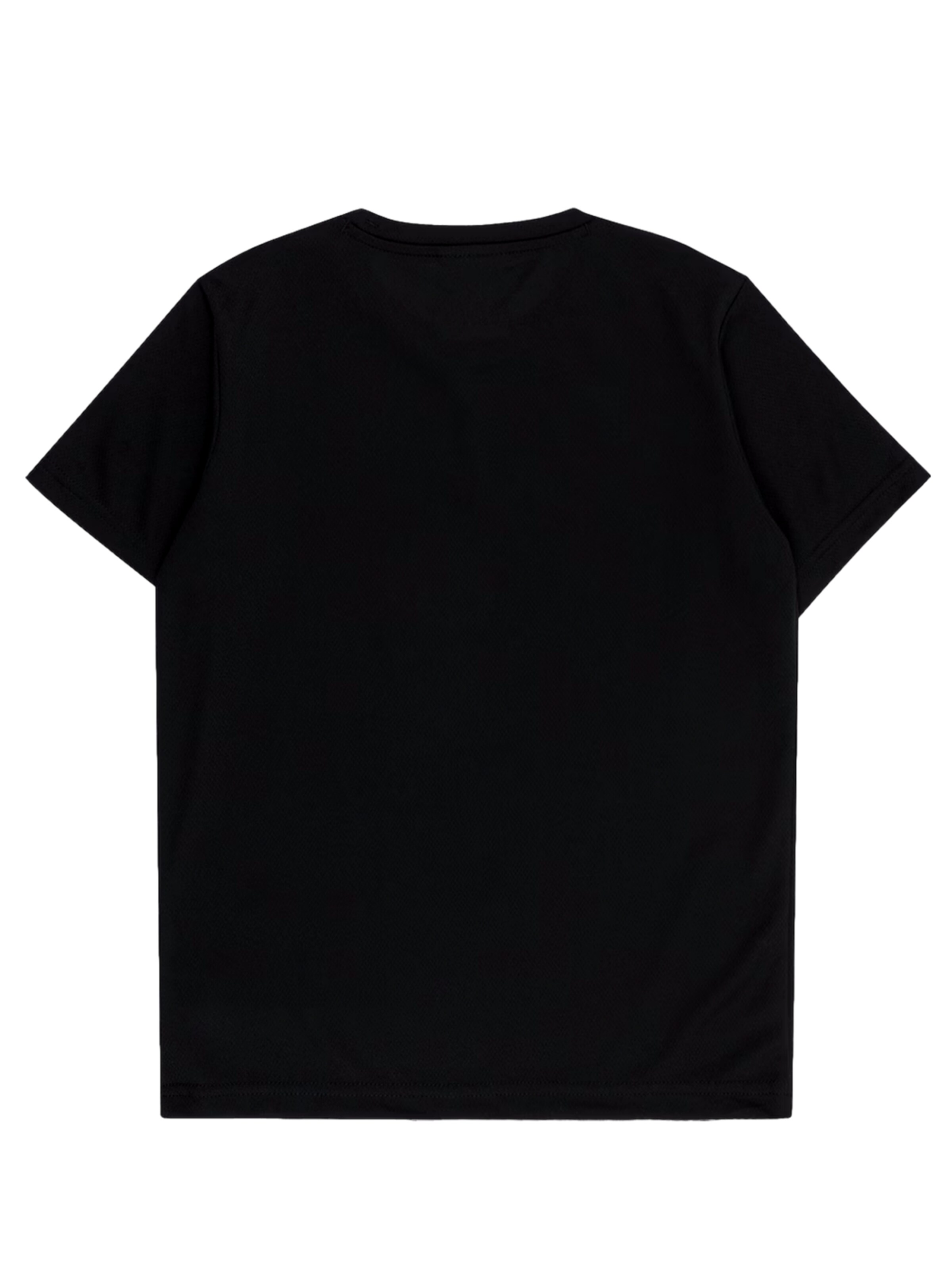 Champion Authentic Athletic Apparel Shirts i sort