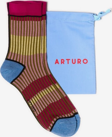 Calzino di Arturo in lilla: frontale