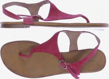 HALLHUBER Sandalen 39 in Pink: predná strana